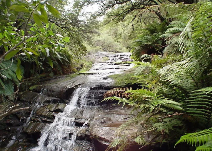 Little Haven Leura Cottage With Spa Bath And Bbq